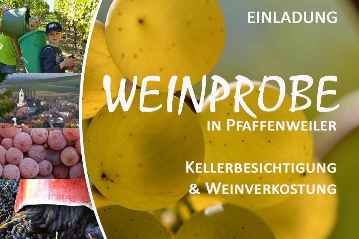 Am Weinberg - Stilvoll, Ruhig, Zum Wohlfuehlen Apartman Pfaffenweiler Kültér fotó